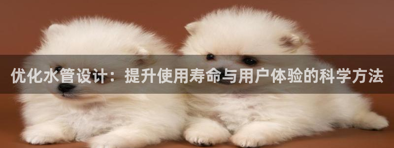 腾众娱乐是什么