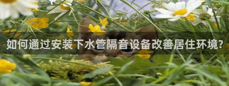 众腾娱乐得7O777