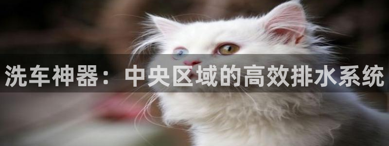 腾耀3娱乐众推8 28
