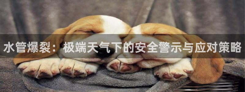 众腾娱乐蚀 7O935