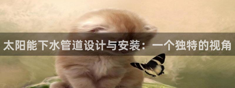 众腾娱乐总代理