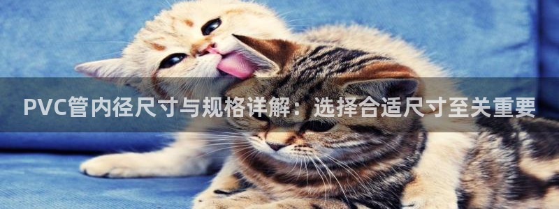 楚雄众腾娱乐是干什么的