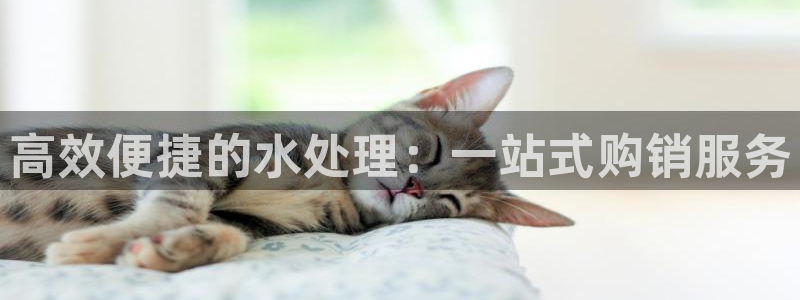 包头众腾娱乐密室逃脱