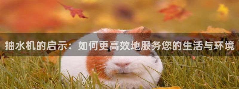 众腾娱乐邵阳