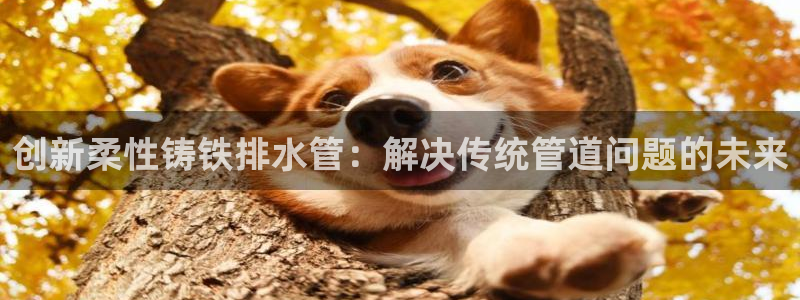 腾讯旗下的腾众娱乐