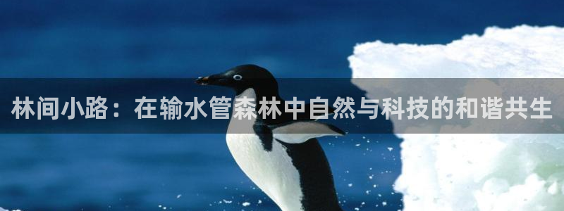 腾耀娱乐众推46996