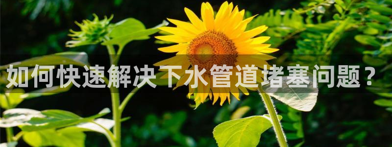 众腾娱乐官方客服电话