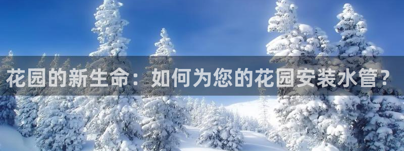 众腾娱乐文化怎么样