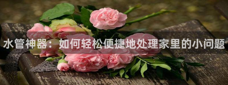 众腾娱乐平台下载