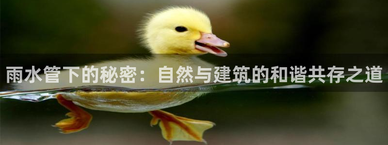 腾耀娱乐众推46996