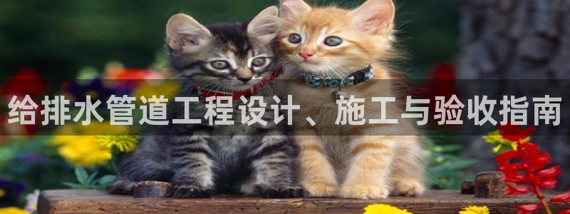 包头众腾娱乐密室逃脱