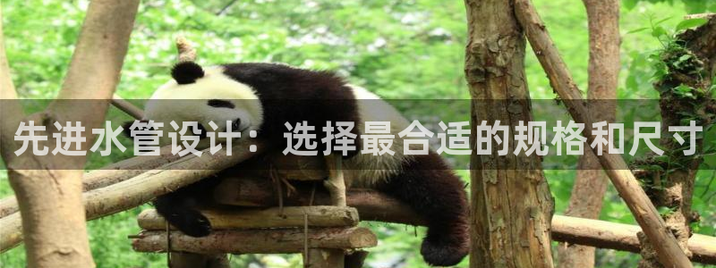 腾耀娱乐众推55312