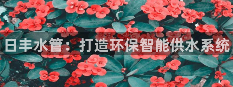 众腾娱乐APP下载