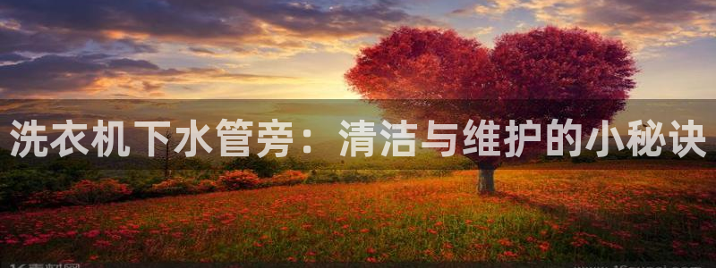 腾耀3娱乐众123