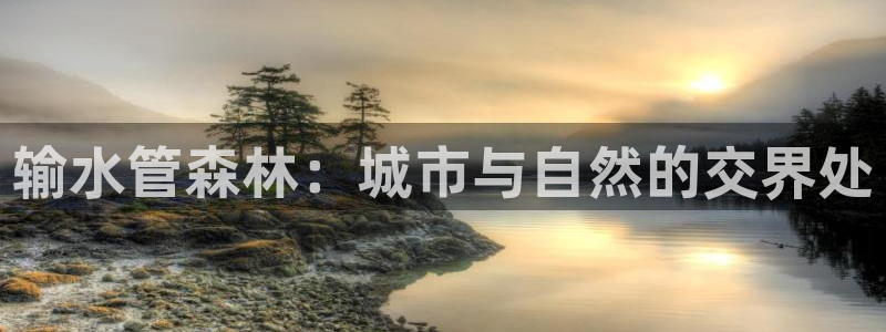 众腾娱乐平台下载