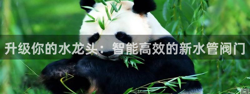 楚雄众腾娱乐在哪里