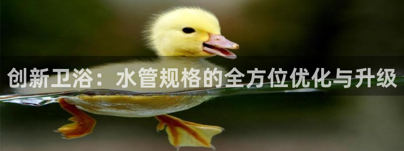 众腾娱乐登入探索无限空间