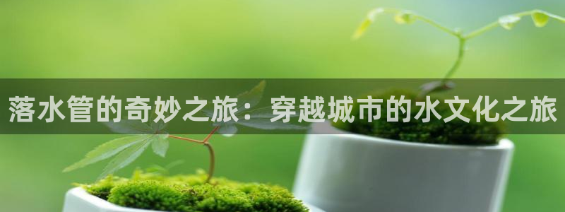 众腾娱乐公司简介