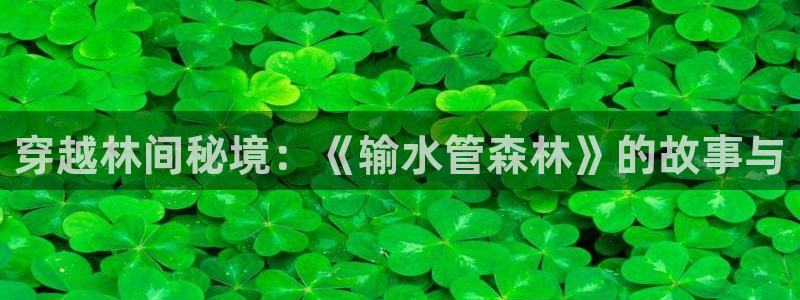 腾耀3娱乐众推8 28