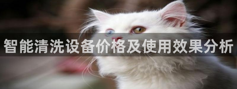 众腾娱乐公司简介