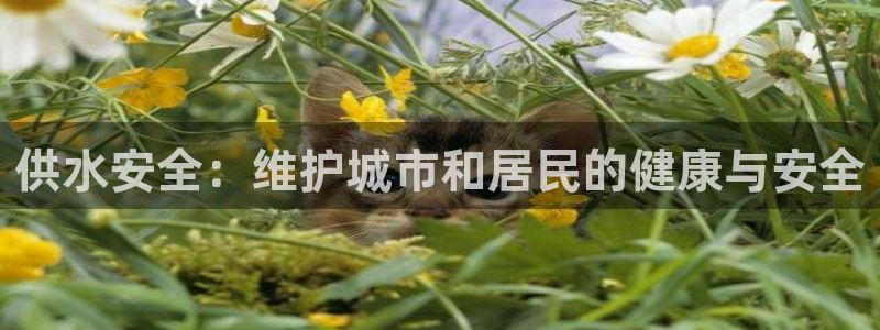 腾众娱乐是什么