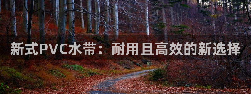 腾耀娱乐29999出众