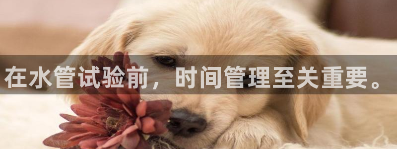 众腾娱乐毕 7O935