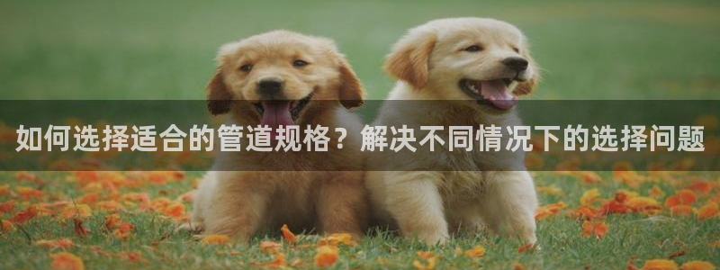 腾耀娱乐众推55312