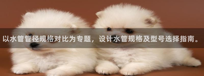 内蒙古众腾娱乐文化法人