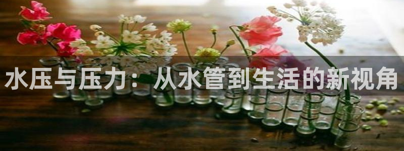 众腾娱乐集团有限公司