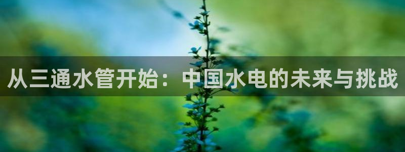 内蒙古众腾娱乐文化法人