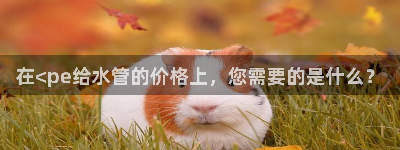 众腾娱乐总代理