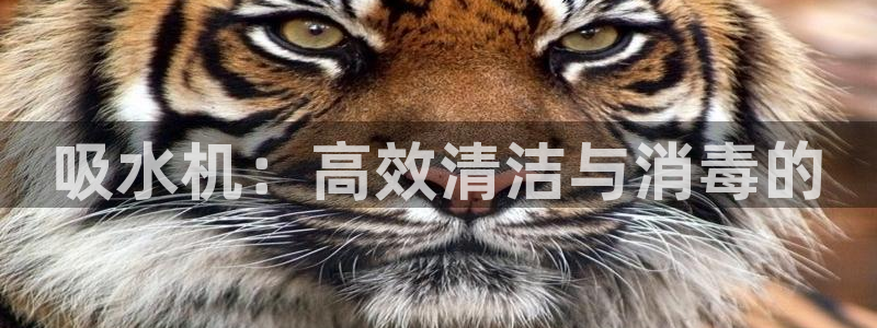 彝族自治州众腾娱乐