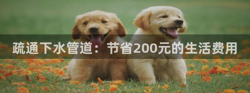 腾耀娱乐众推55312