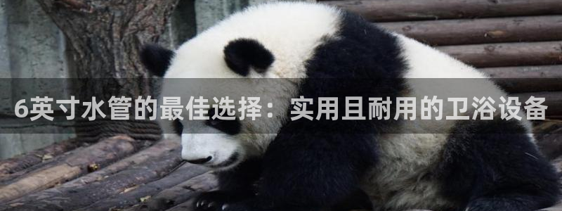 众腾娱乐官方客服电话