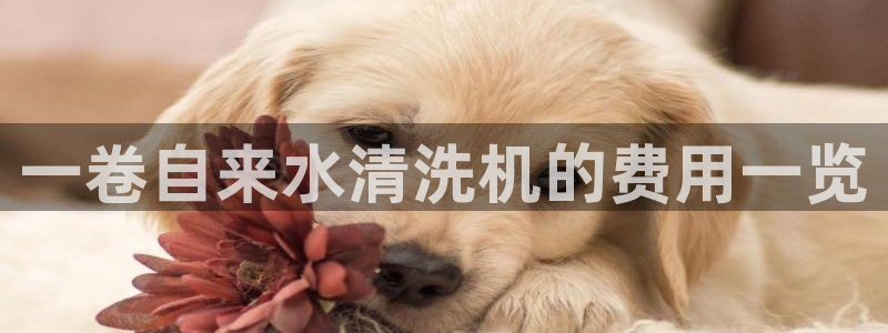 众腾娱乐文化怎么样