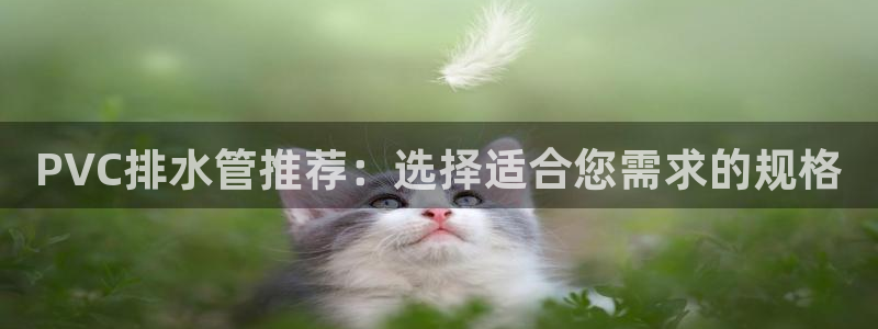 包头众腾娱乐密室逃脱