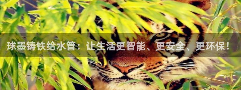 包头众腾娱乐密室逃脱