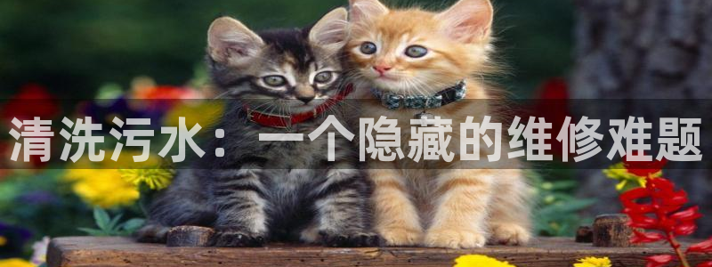 腾众娱乐是个啥