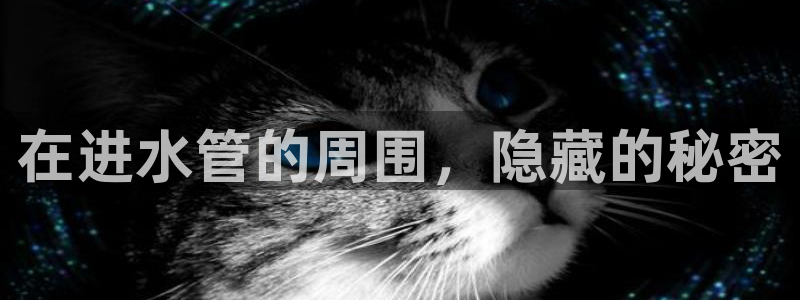 彝族自治州众腾娱乐