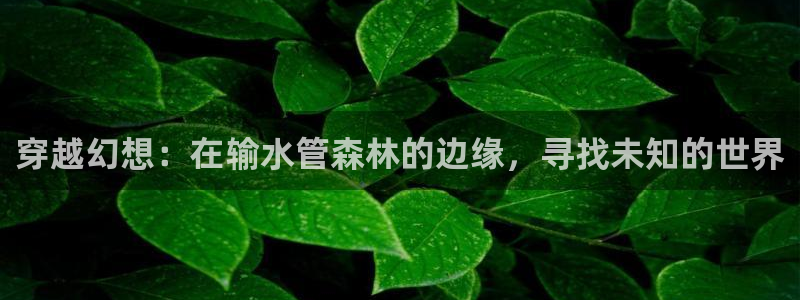 腾众娱乐是个啥