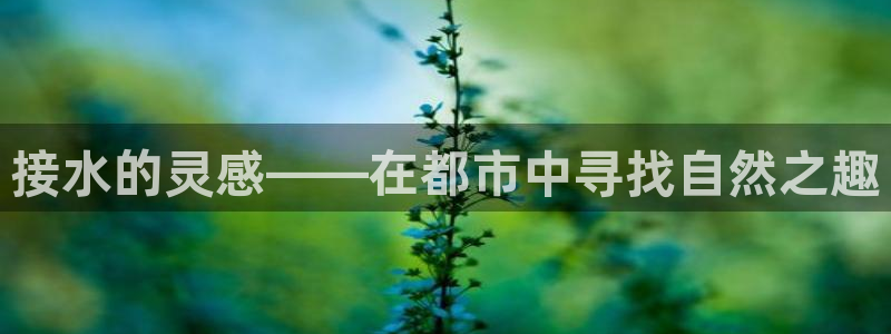 众腾娱乐APP下载