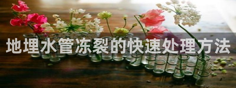 腾讯旗下的腾众娱乐