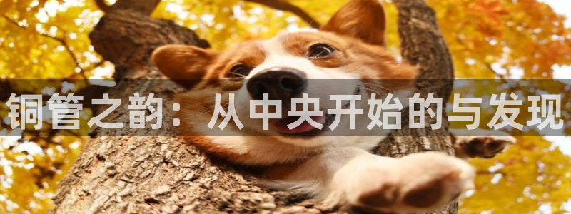 众腾娱乐代理怎么样