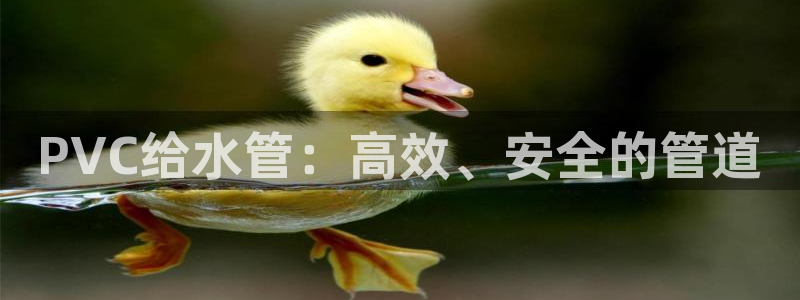 众腾娱乐平台群7O777