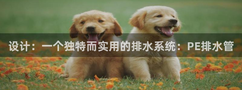 腾耀娱乐众推46996