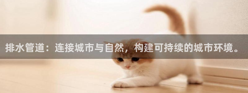 包头众腾娱乐密室逃脱