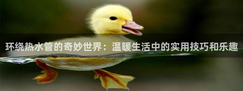 众腾娱乐梦幻演艺店