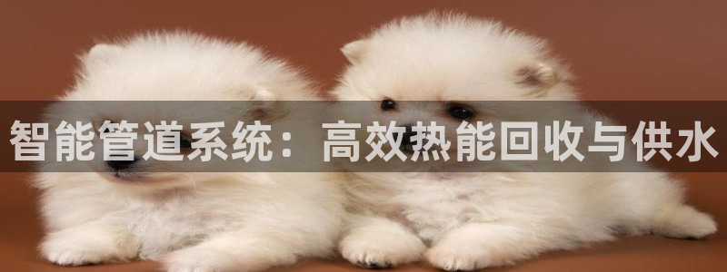 腾耀娱乐众推46996