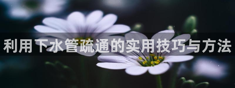 众腾娱乐博彩